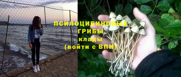 jwh Алзамай