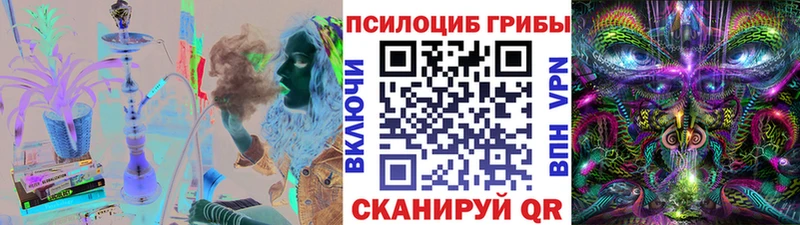 Псилоцибиновые грибы Psilocybe  цена наркотик  Красногорск 