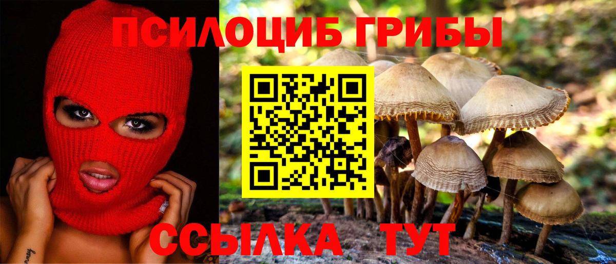 Галлюциногенные грибы прущие грибы Красногорск