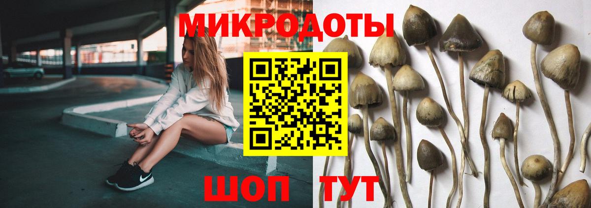 где купить наркоту  Вход с VPN  Красногорск  Галлюциногенные грибы мицелий 